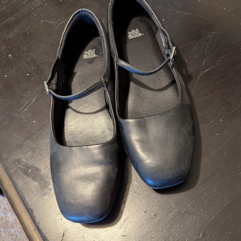 Wild Fable Black Mary Jane Shoes